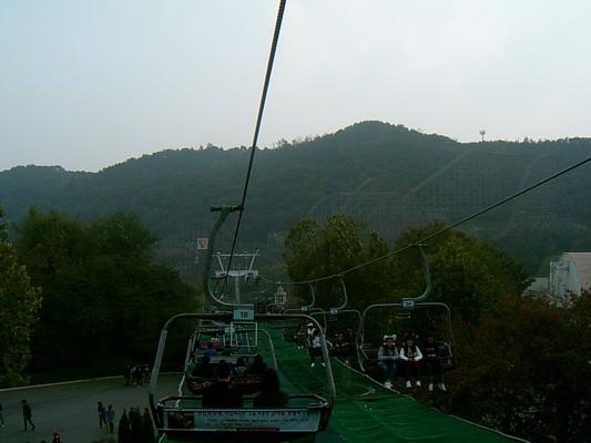 SUC31611_resize.JPG